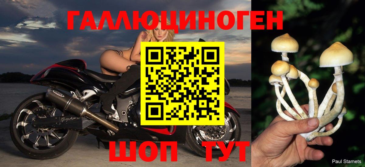 Галлюциногенные грибы GOLDEN TEACHER Амурск